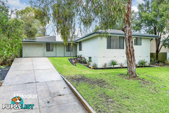19 Mintanta Drive BANKSIA PARK SA 5091