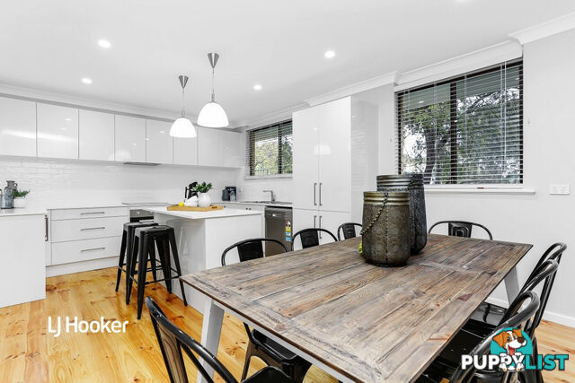 19 Mintanta Drive BANKSIA PARK SA 5091