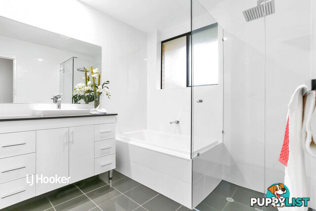 19 Mintanta Drive BANKSIA PARK SA 5091