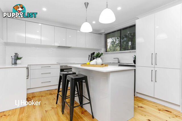 19 Mintanta Drive BANKSIA PARK SA 5091