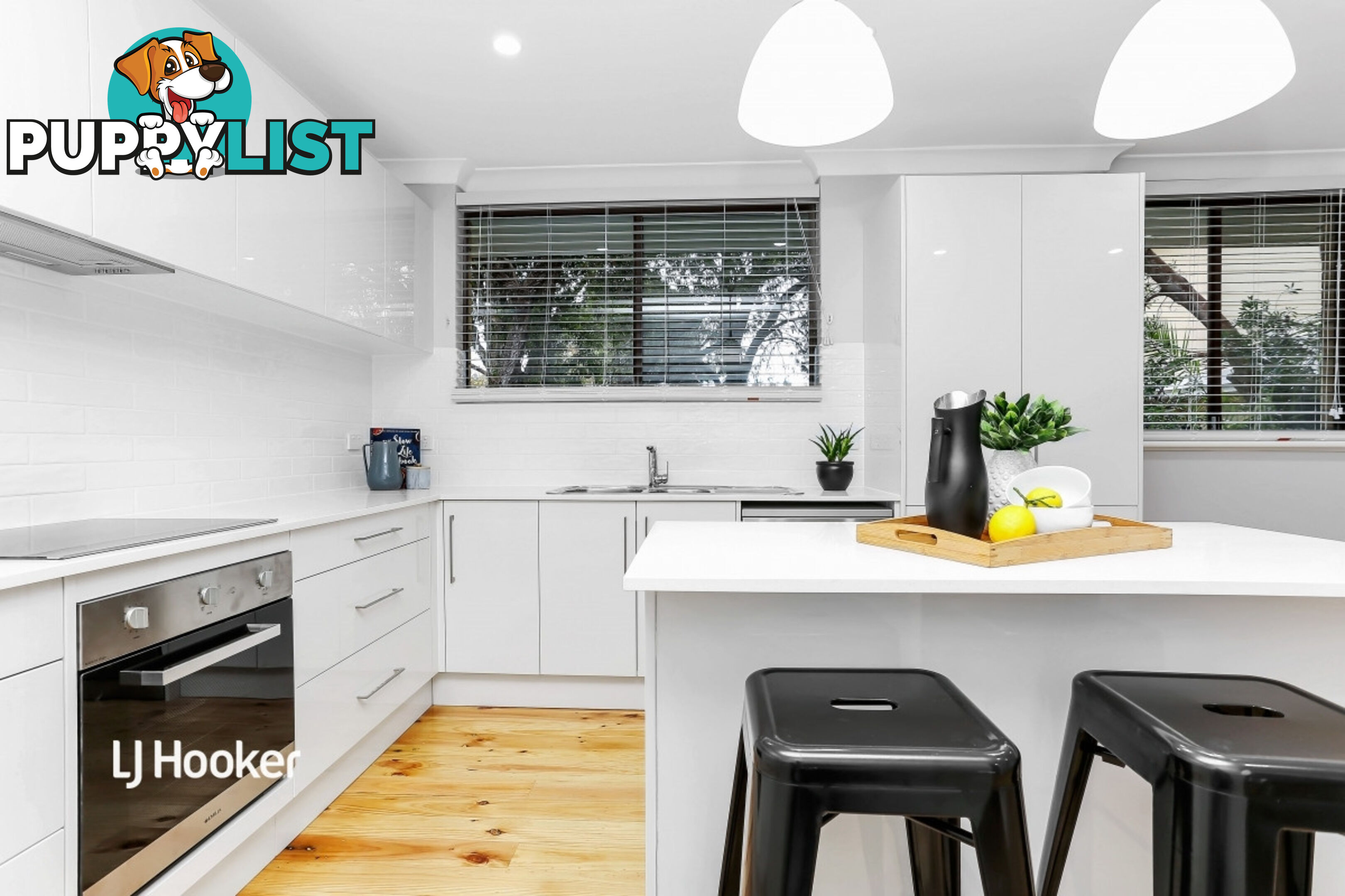 19 Mintanta Drive BANKSIA PARK SA 5091