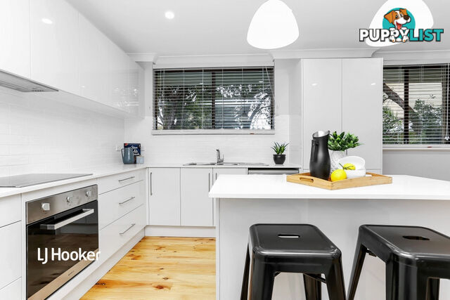 19 Mintanta Drive BANKSIA PARK SA 5091