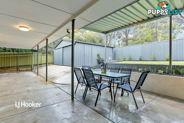 19 Mintanta Drive BANKSIA PARK SA 5091