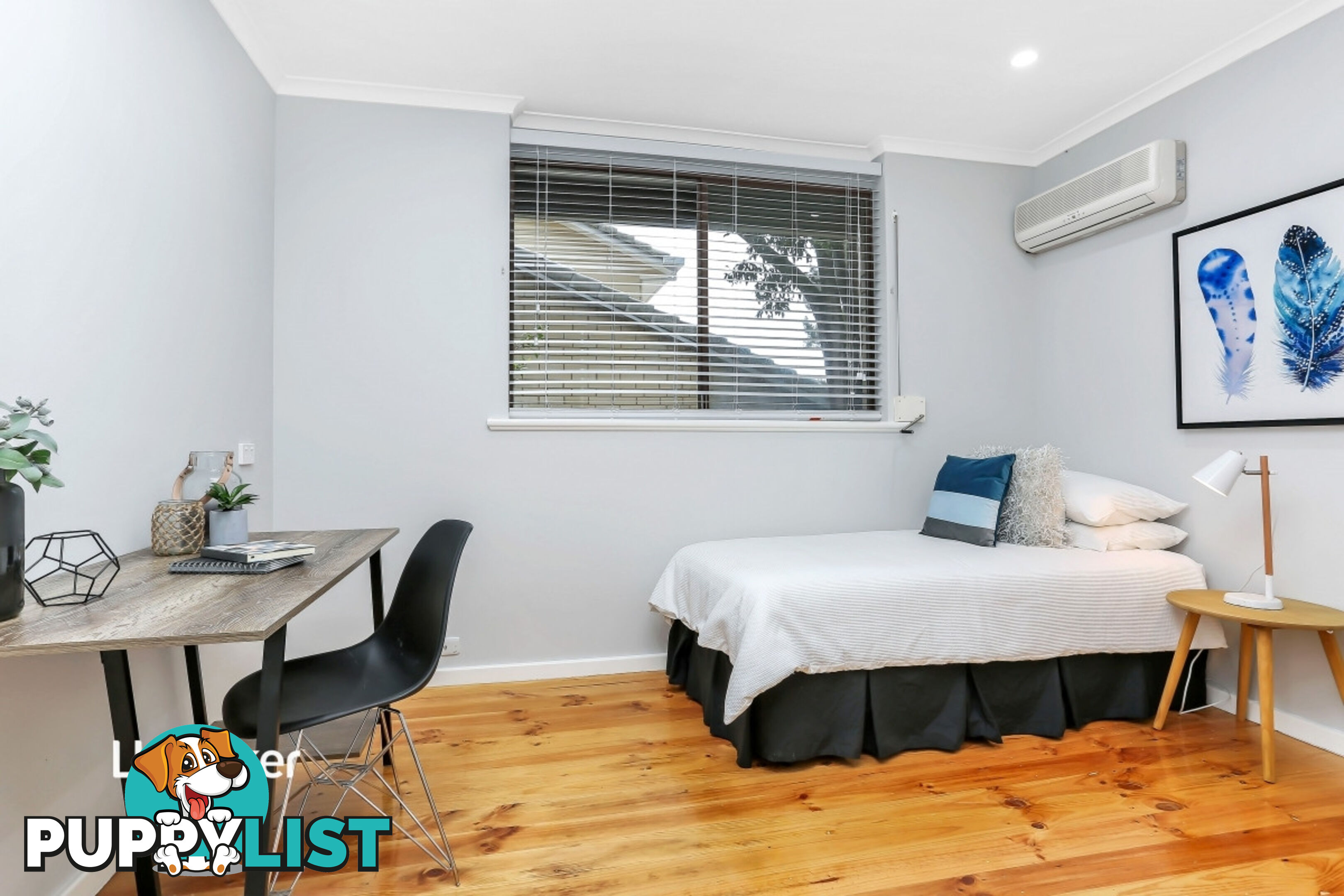 19 Mintanta Drive BANKSIA PARK SA 5091