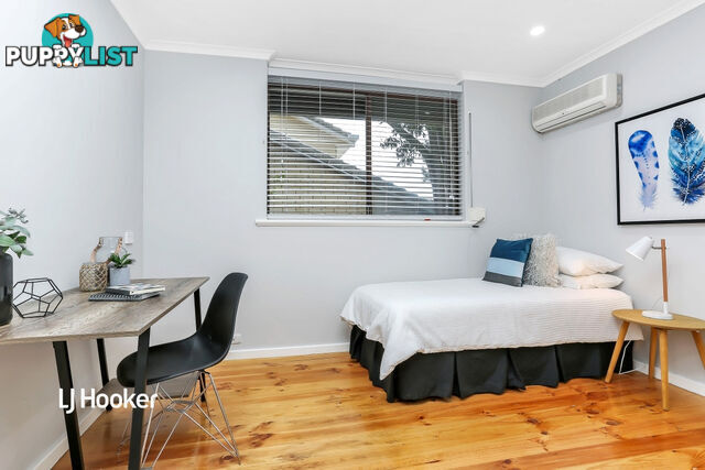 19 Mintanta Drive BANKSIA PARK SA 5091