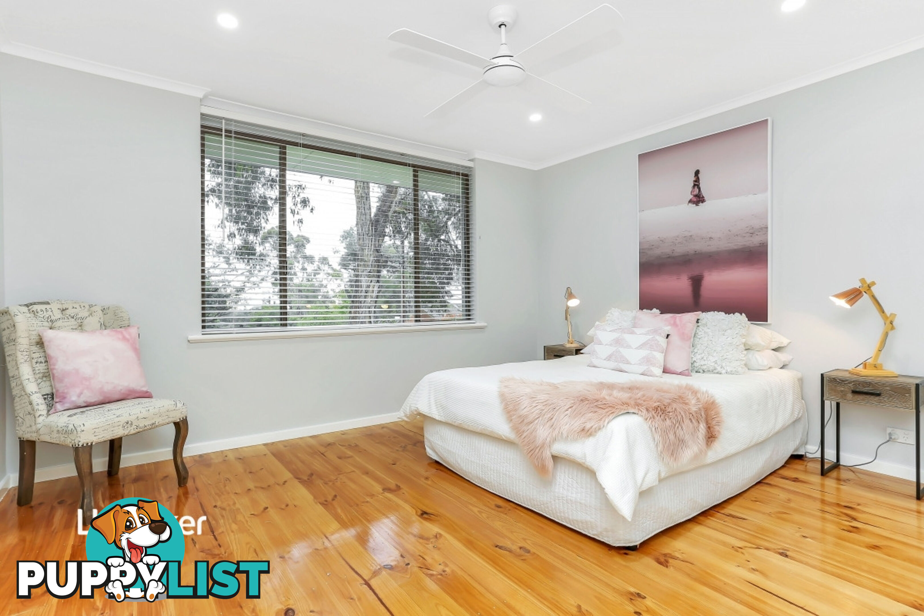 19 Mintanta Drive BANKSIA PARK SA 5091