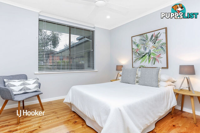 19 Mintanta Drive BANKSIA PARK SA 5091