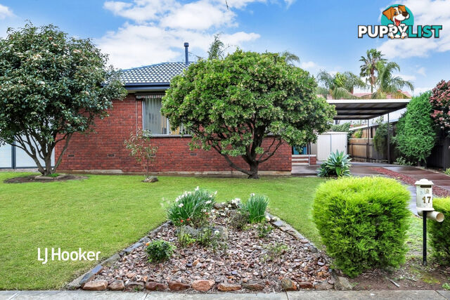 17 Apex Avenue MODBURY NORTH SA 5092