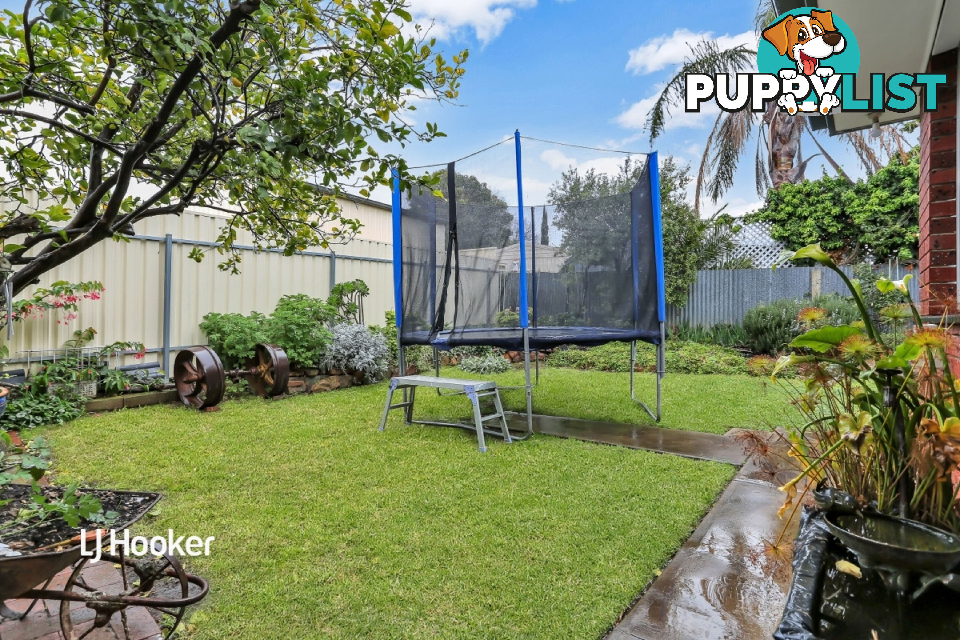 17 Apex Avenue MODBURY NORTH SA 5092