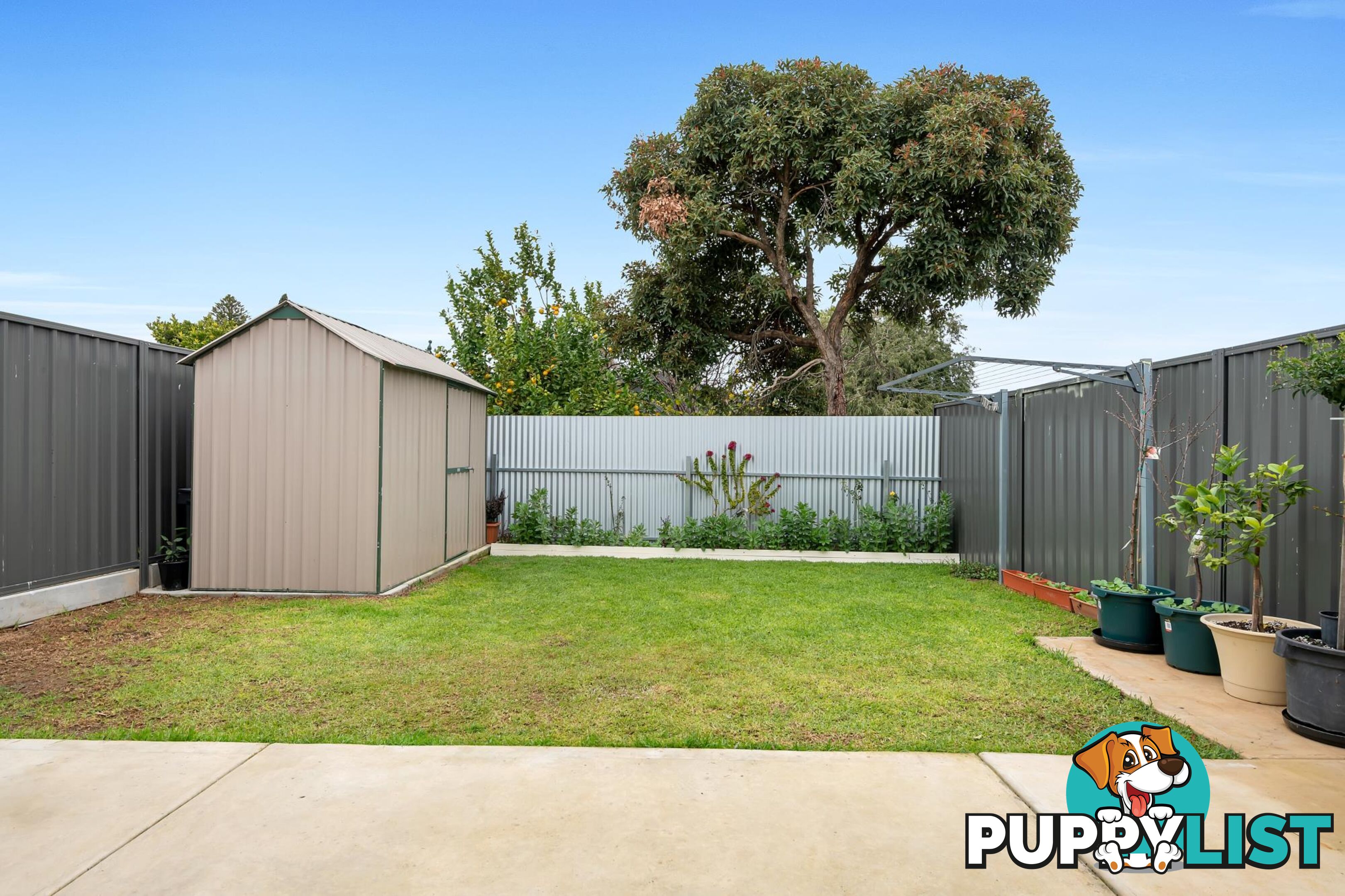 31 McCusker Avenue ENFIELD SA 5085