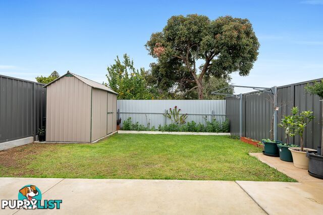 31 McCusker Avenue ENFIELD SA 5085