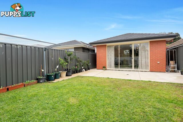 31 McCusker Avenue ENFIELD SA 5085