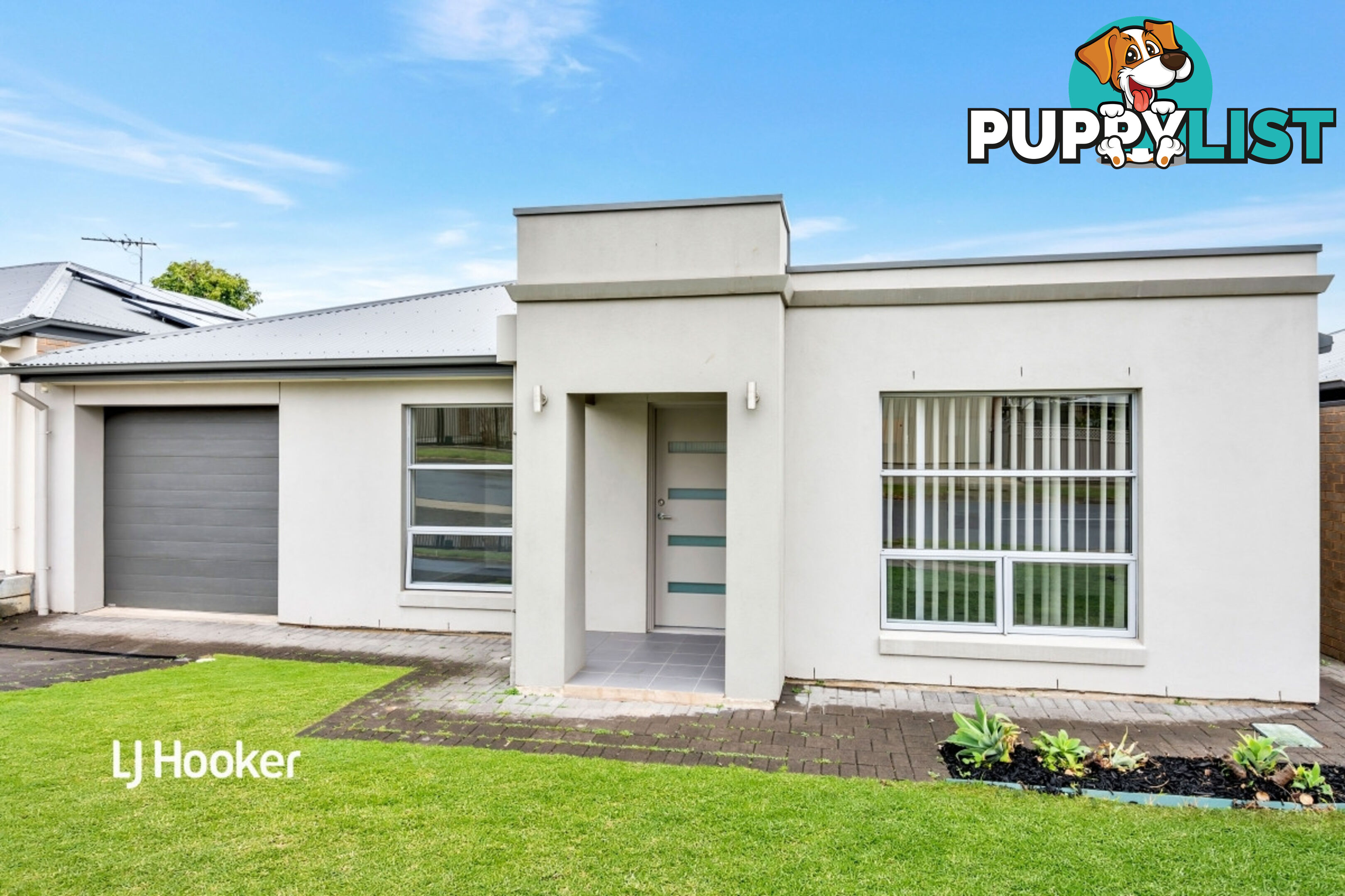 19 Ridgeway Avenue ENFIELD SA 5085