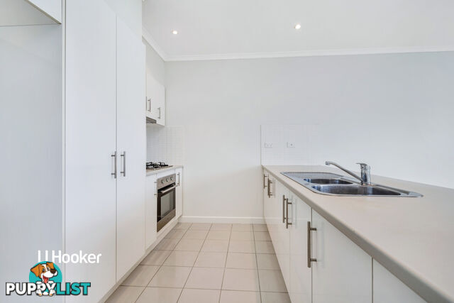 19 Ridgeway Avenue ENFIELD SA 5085
