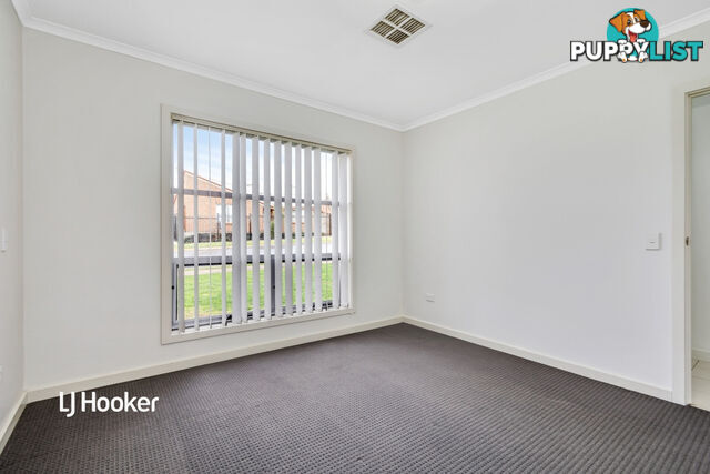 19 Ridgeway Avenue ENFIELD SA 5085