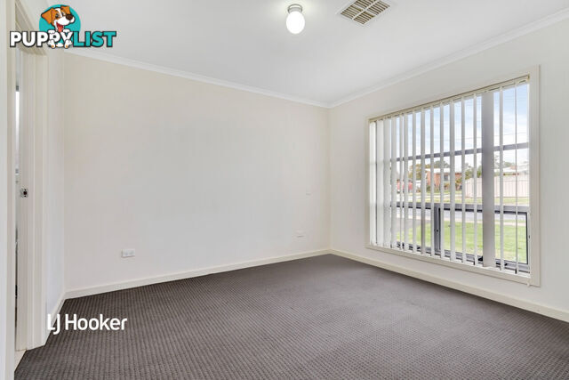 19 Ridgeway Avenue ENFIELD SA 5085