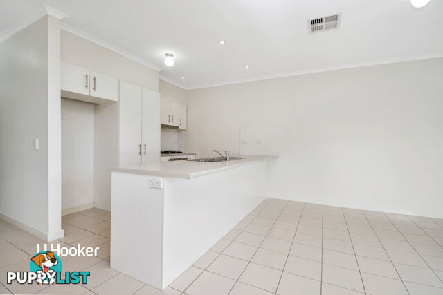 19 Ridgeway Avenue ENFIELD SA 5085
