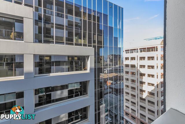 1105/105-110 Waymouth Street ADELAIDE SA 5000