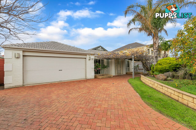 62 Dumfries Avenue NORTHGATE SA 5085