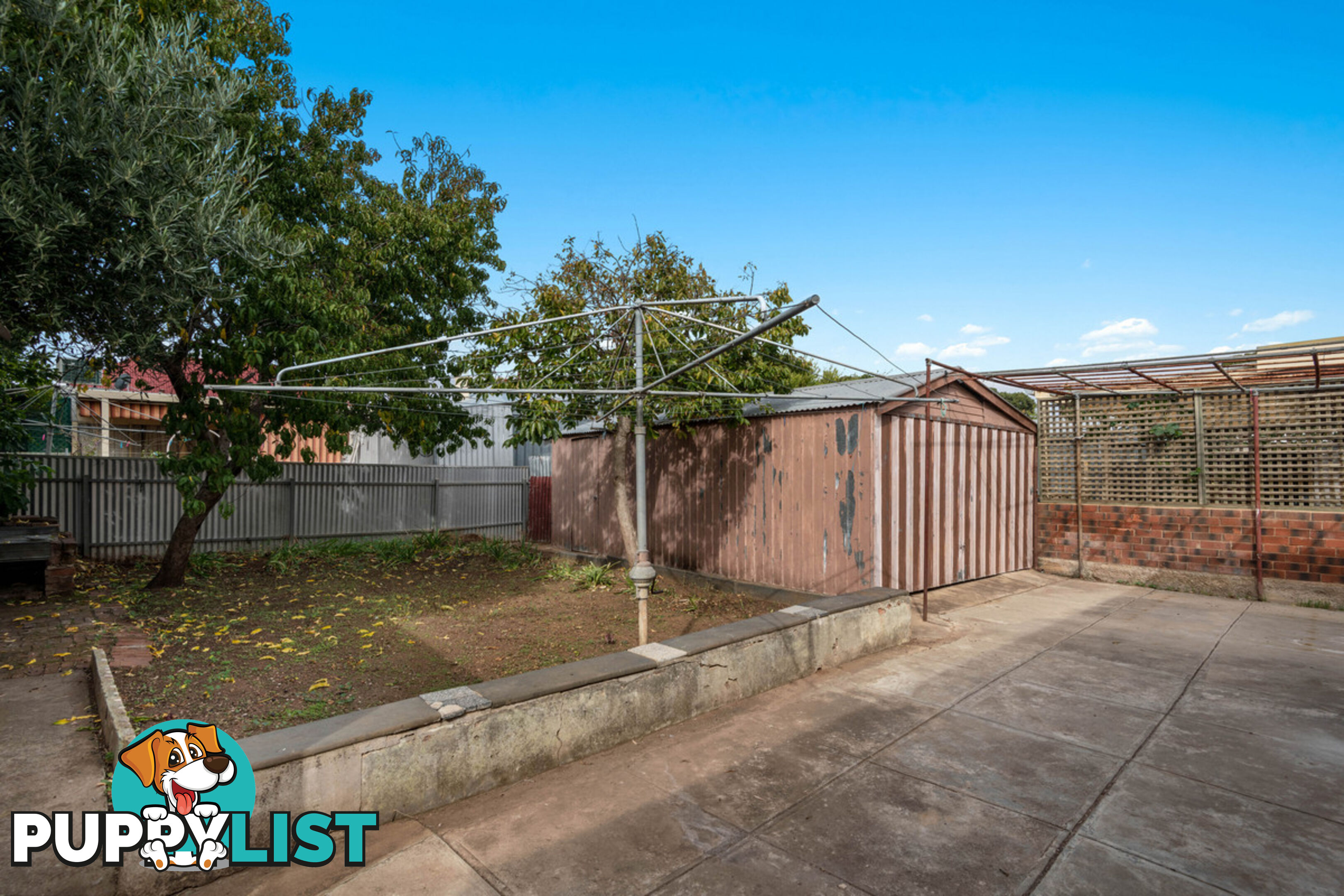 18 Morris Street EVANDALE SA 5069