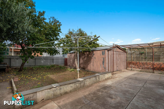 18 Morris Street EVANDALE SA 5069