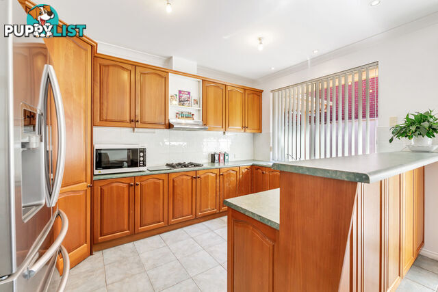 13 Parkwood Avenue PARADISE SA 5075