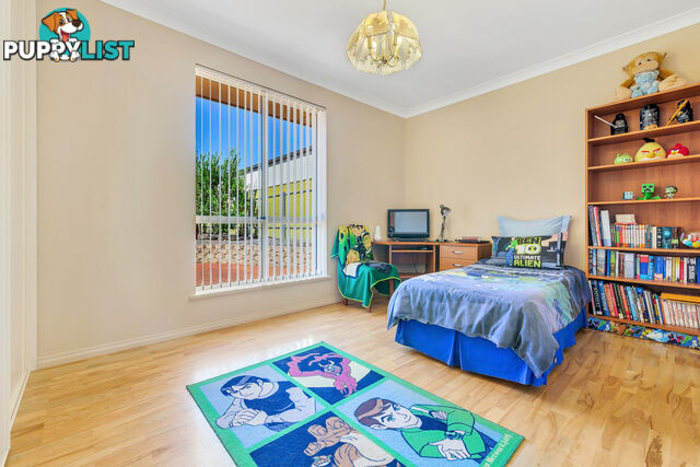 13 Parkwood Avenue PARADISE SA 5075