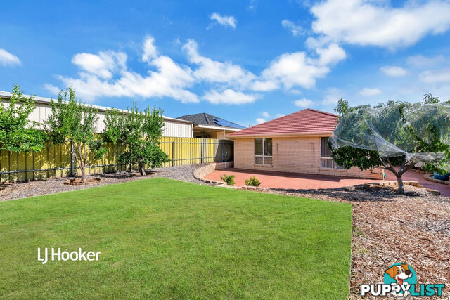 13 Parkwood Avenue PARADISE SA 5075