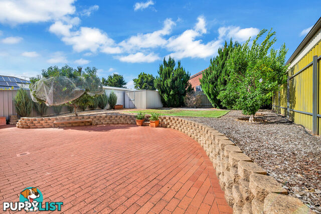 13 Parkwood Avenue PARADISE SA 5075