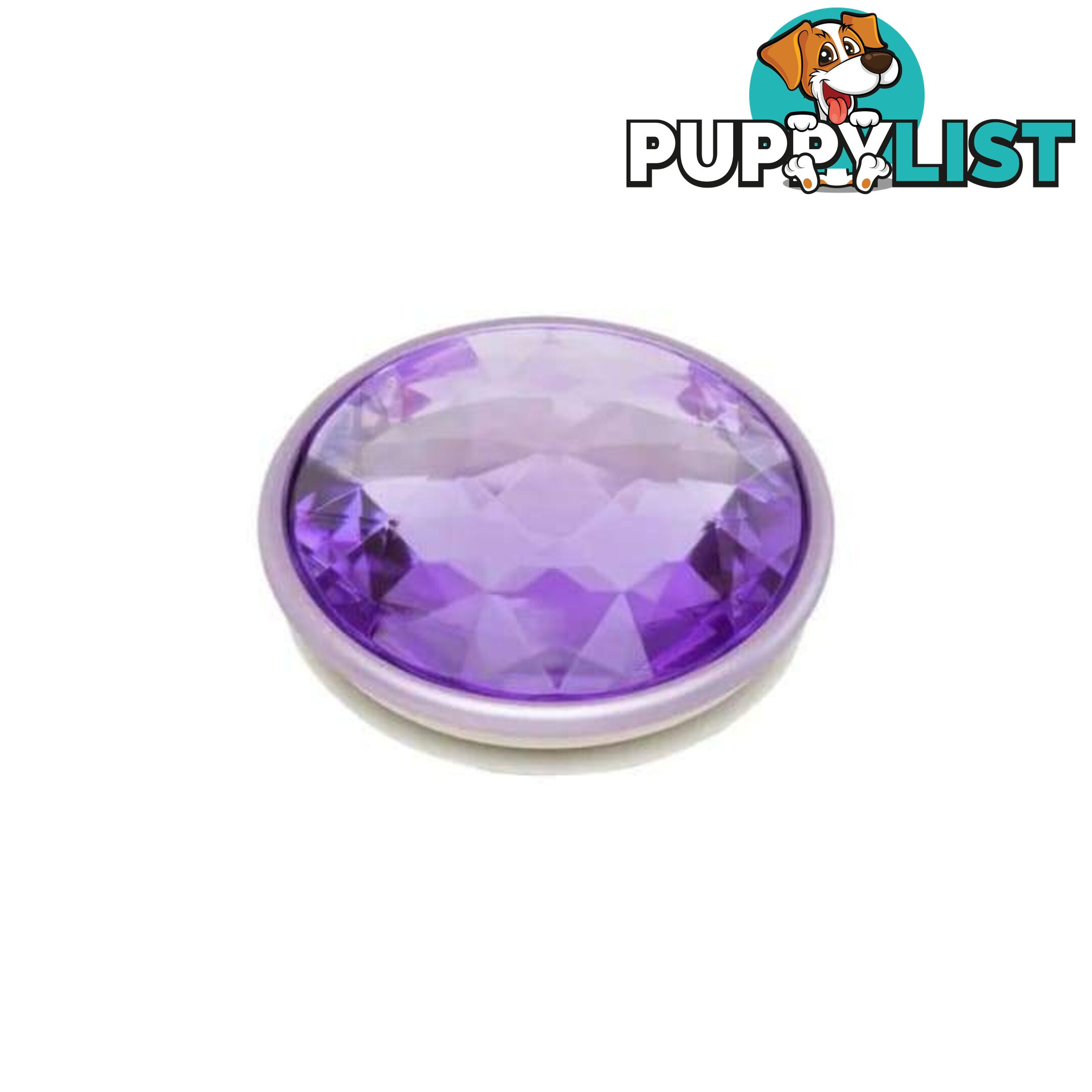 PopTop Premium Swappable Top (Gen 2) Disco Crystal Orchid - PopSockets - 842978143781