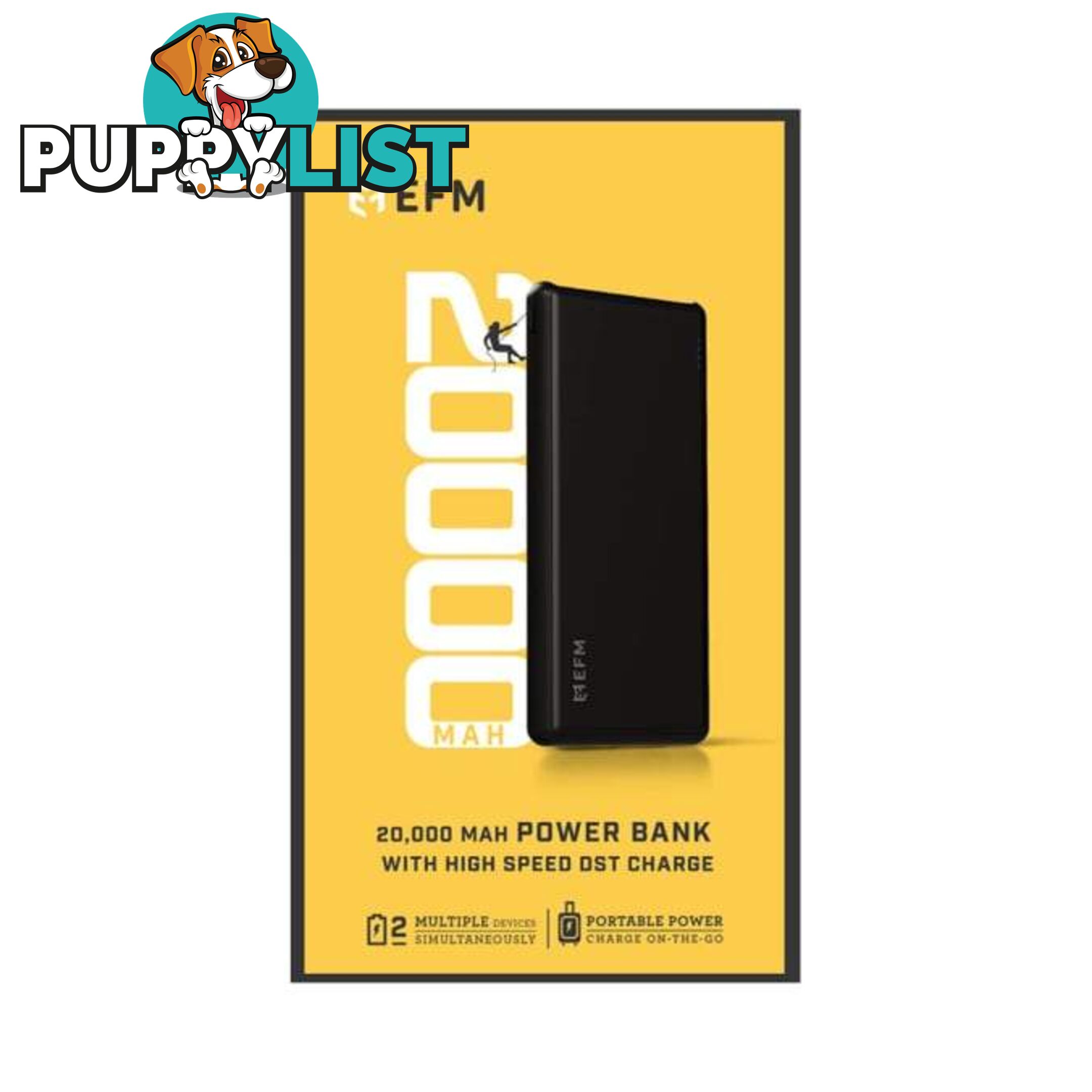 EFM 20000mAh Power Bank With Micro USB Cable - EFM - 9319655062617