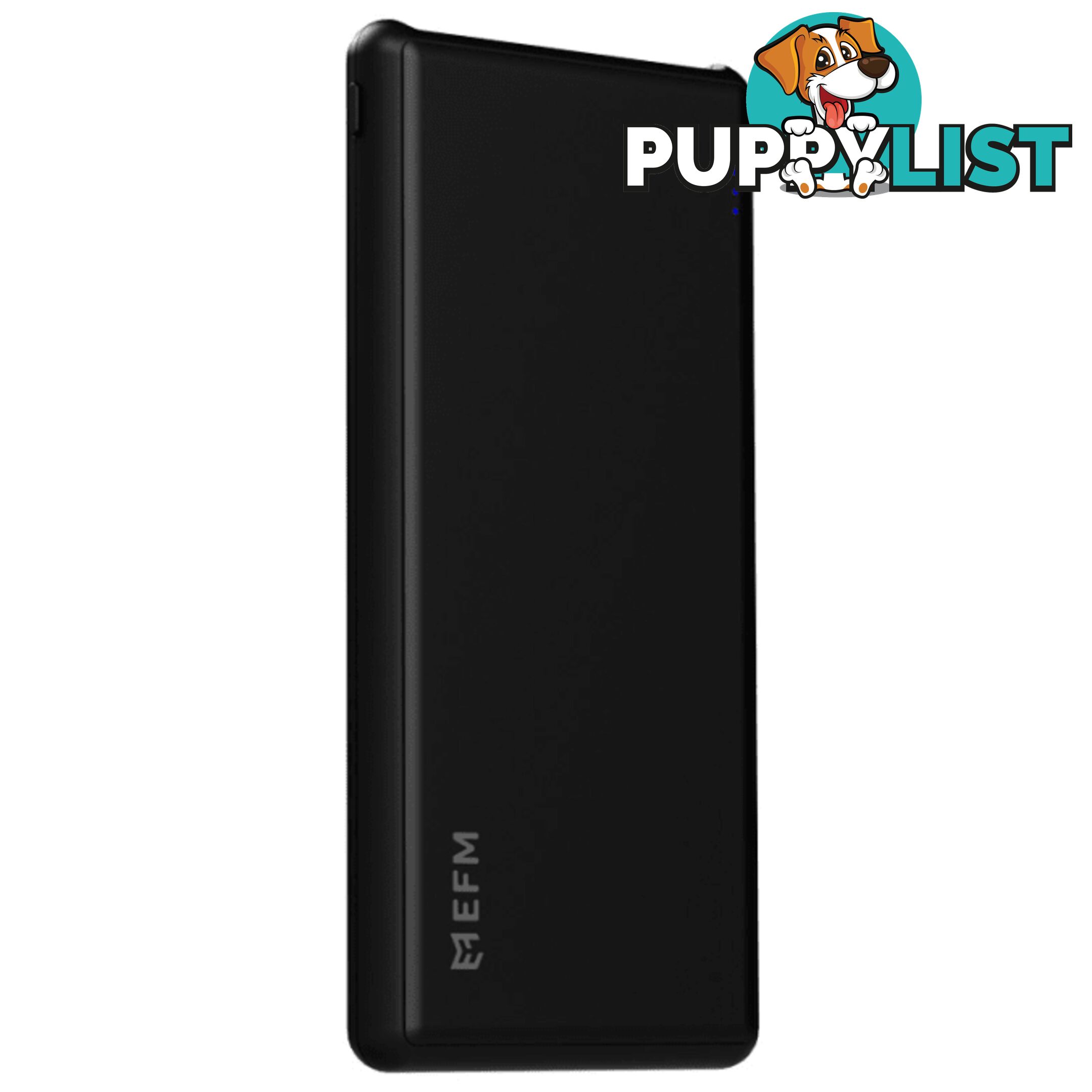 EFM 20000mAh Power Bank With Micro USB Cable - EFM - 9319655062617