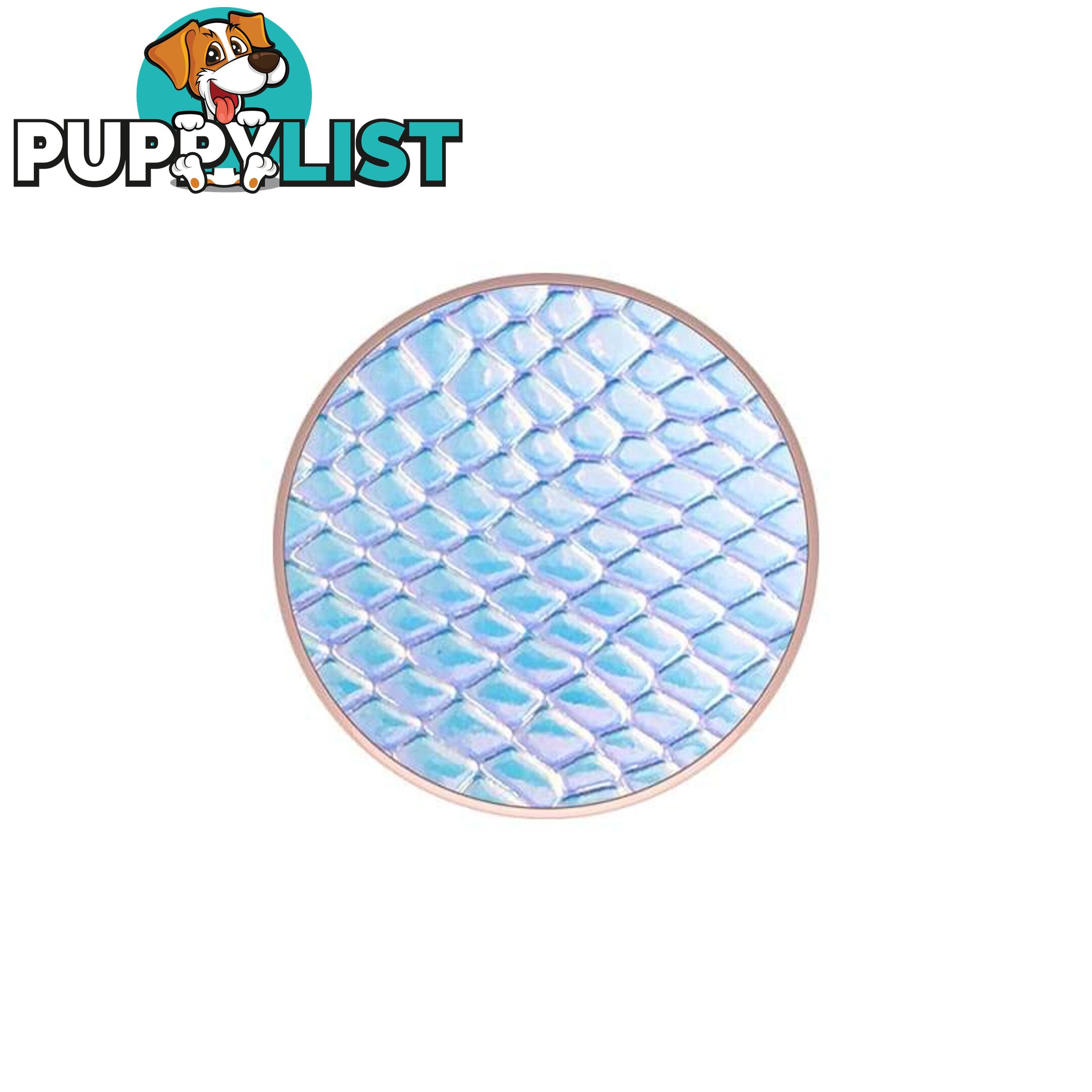 PopGrip Premium (Gen 2) Iridescent Snake - PopSockets - 842978135304