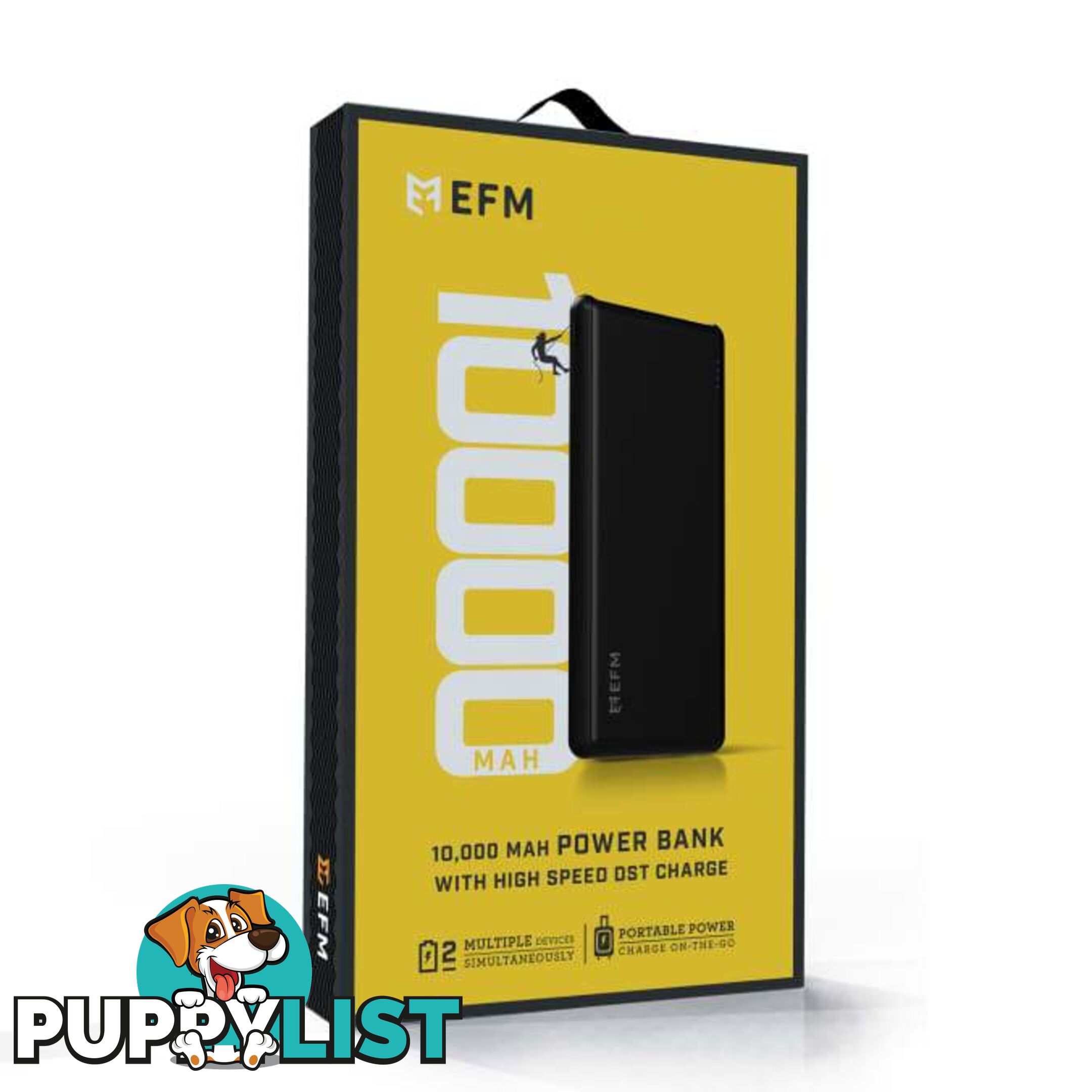 EFM 10000mAh Power Bank With Micro-USB Cable - EFM - 9319655056449