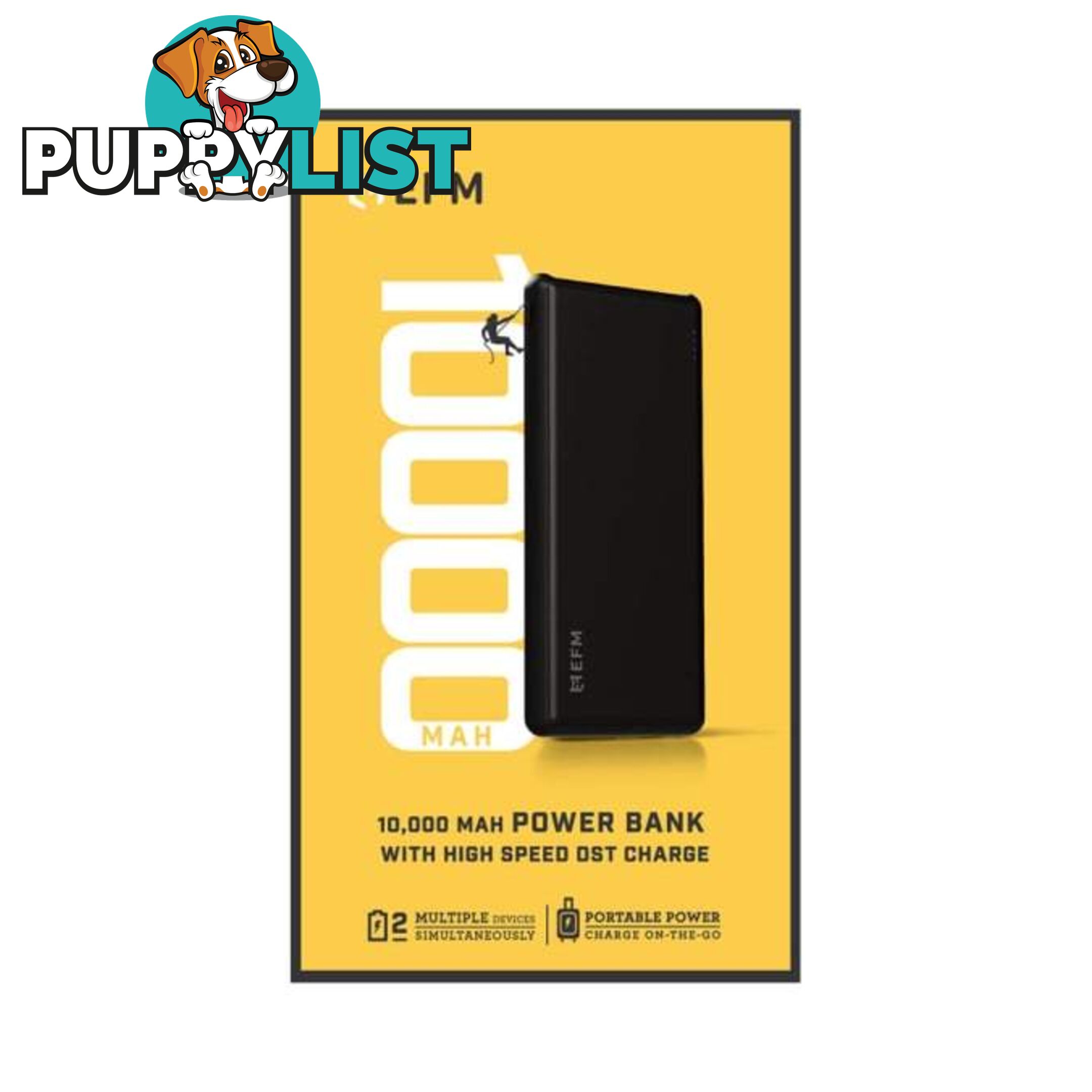 EFM 10000mAh Power Bank With Micro-USB Cable - EFM - 9319655056449