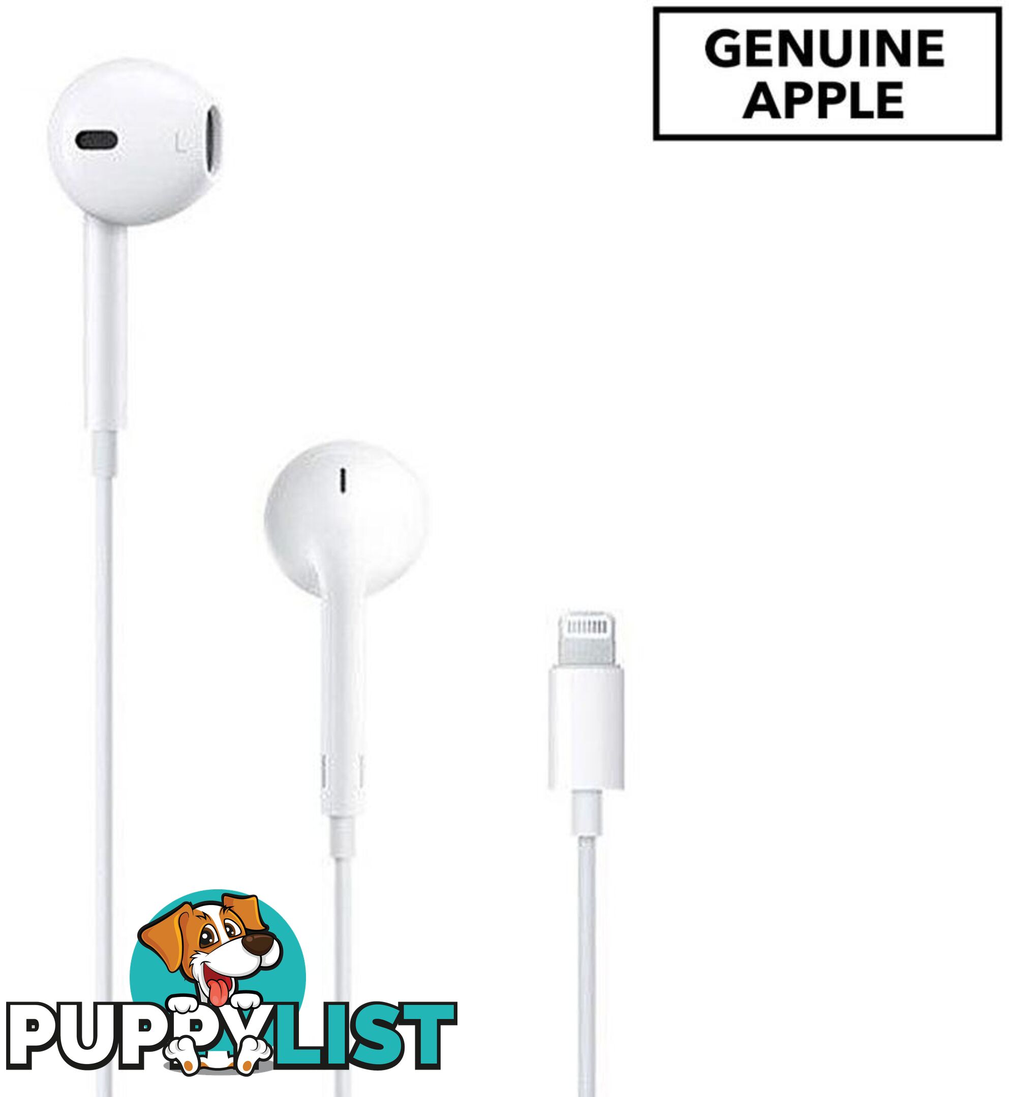 Genuine Apple Earpod Earphone with Lightning Connector for Iphone Ipad - Apple - 885909650132