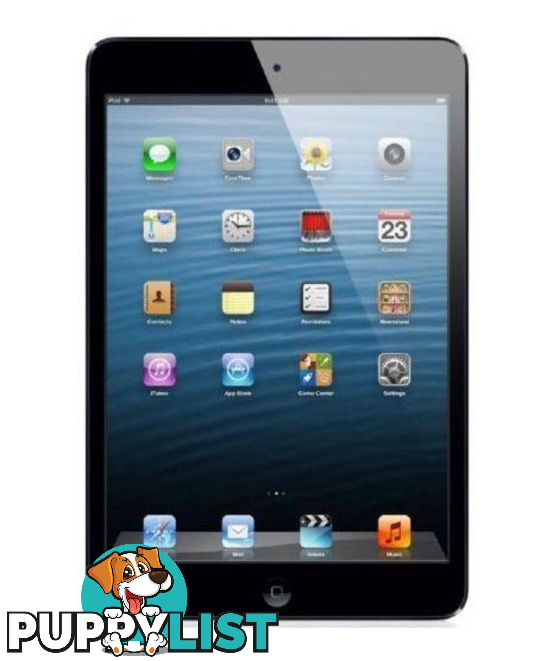 Apple Ipad mini 4g