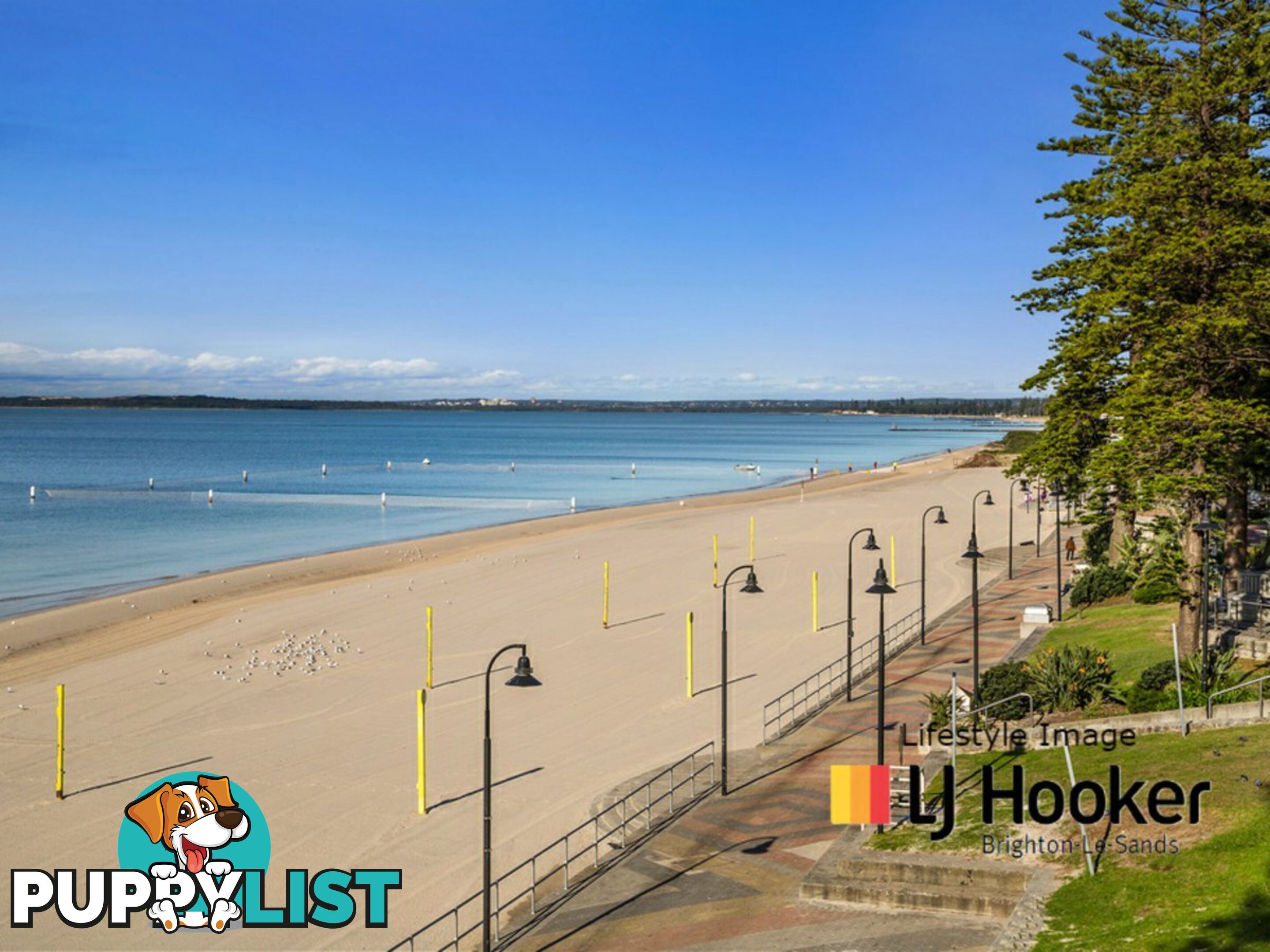 8/22 Hercules Road BRIGHTON LE SANDS NSW 2216