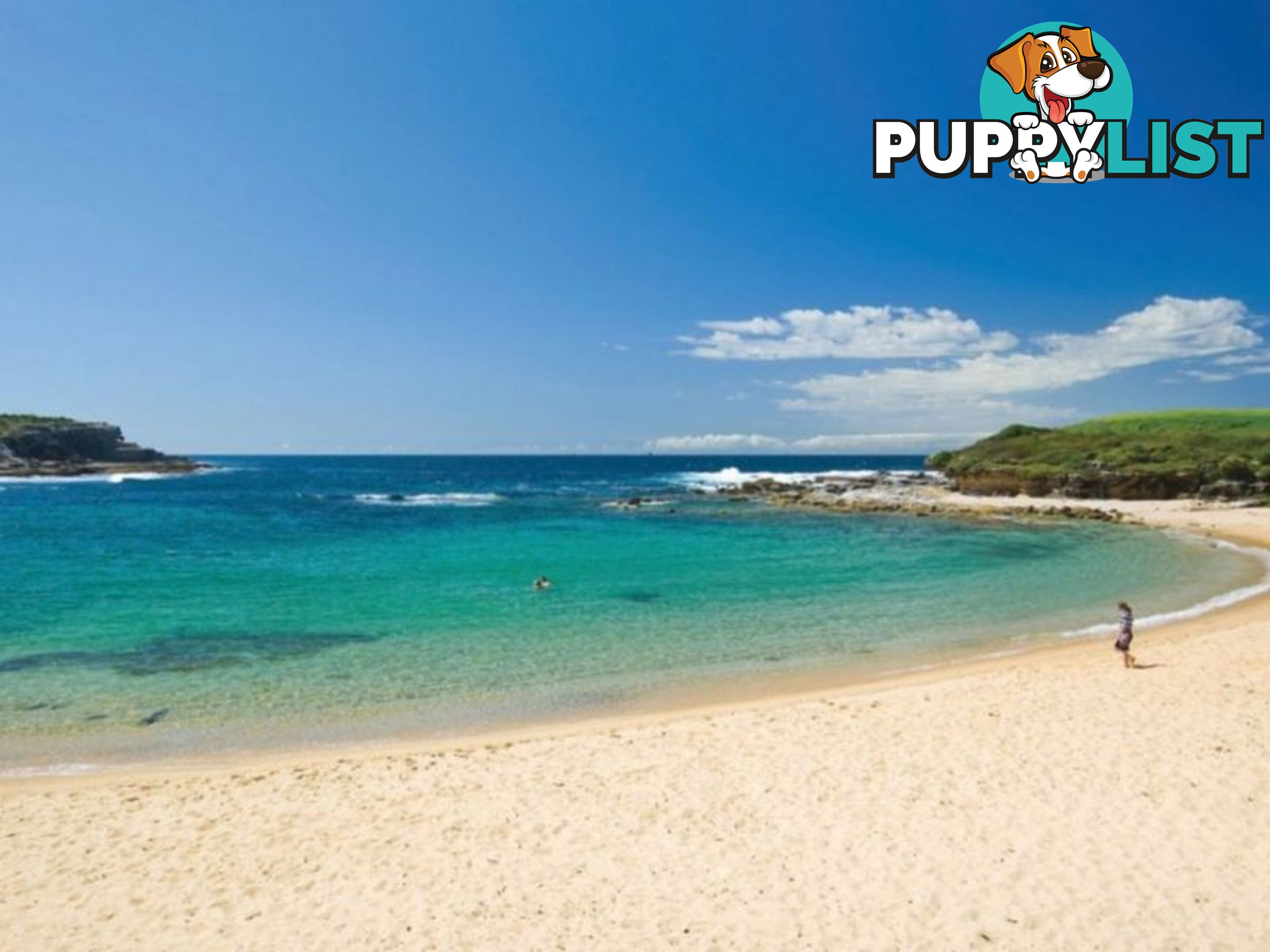1-3 JENNER STREET LITTLE BAY NSW 2036