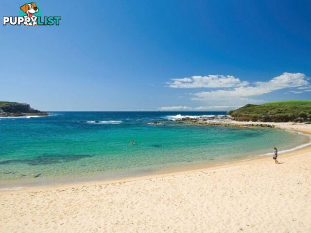 1-3 JENNER STREET LITTLE BAY NSW 2036