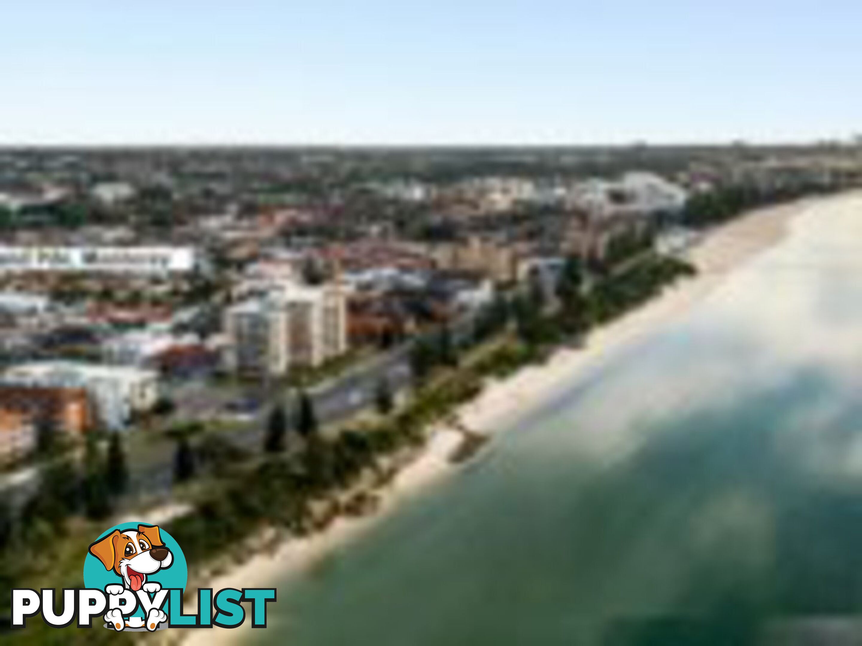 19/141 The Grand Parade MONTEREY NSW 2217