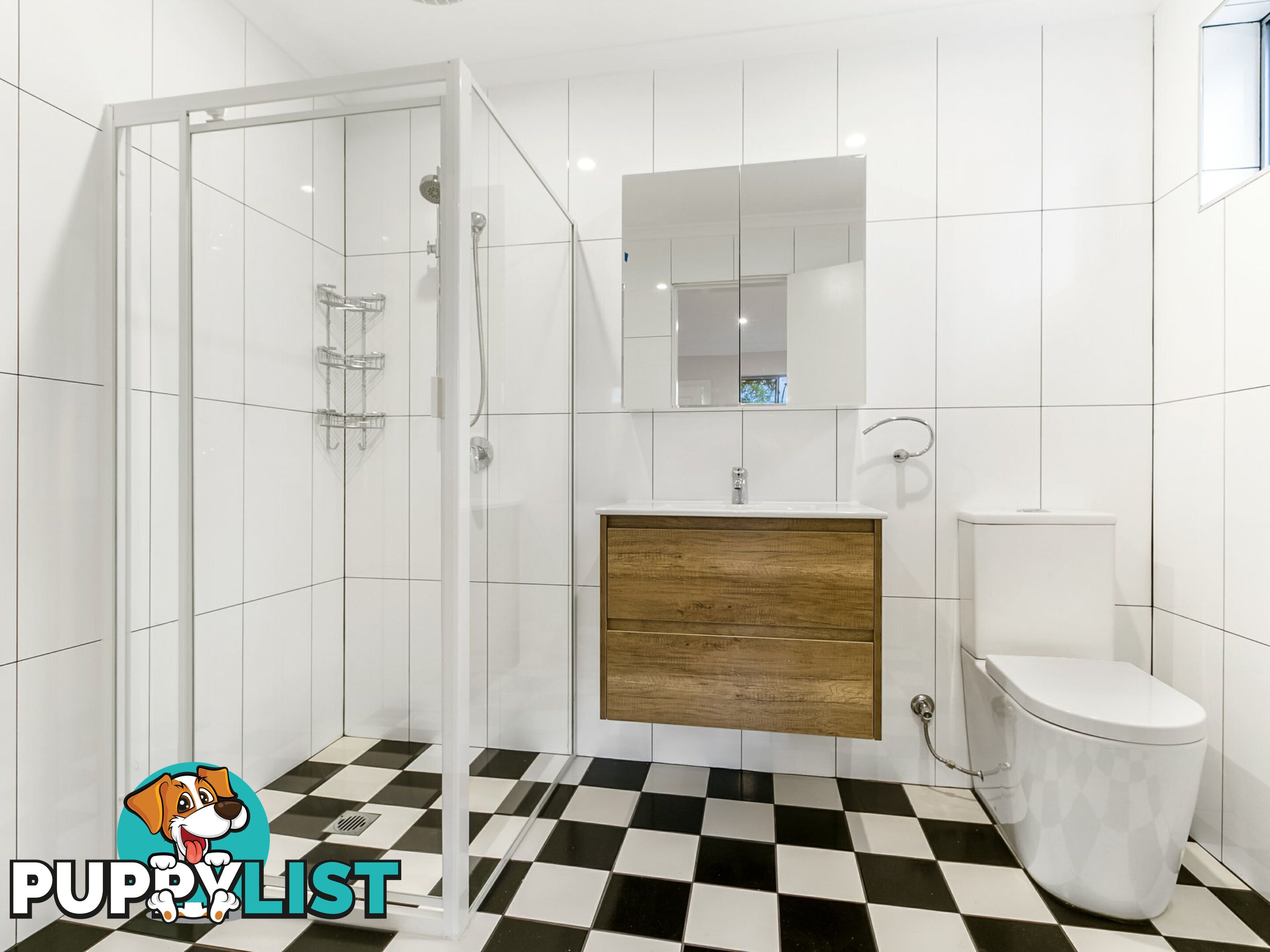 2A/49 West Street PETERSHAM NSW 2049