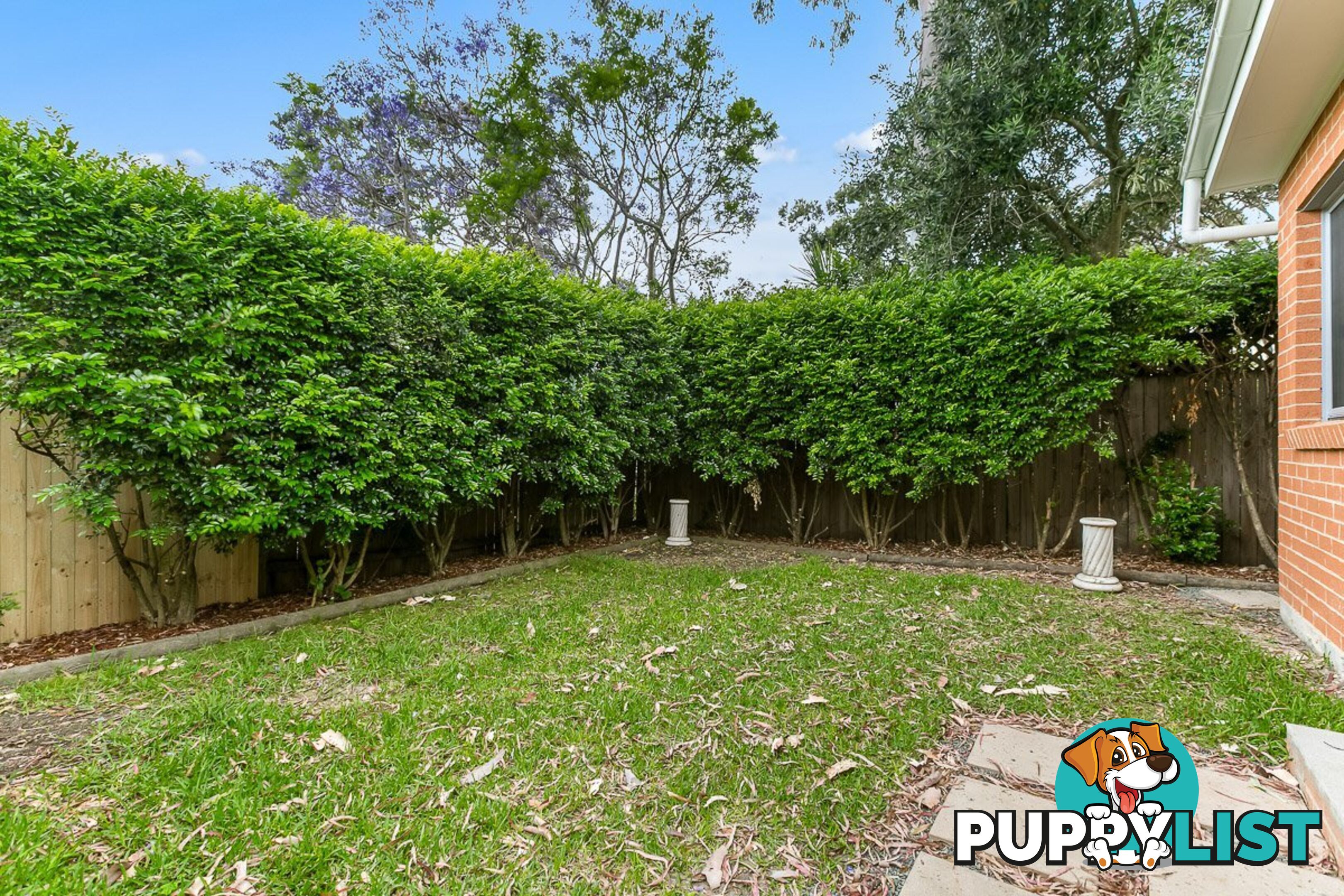 2A/49 West Street PETERSHAM NSW 2049