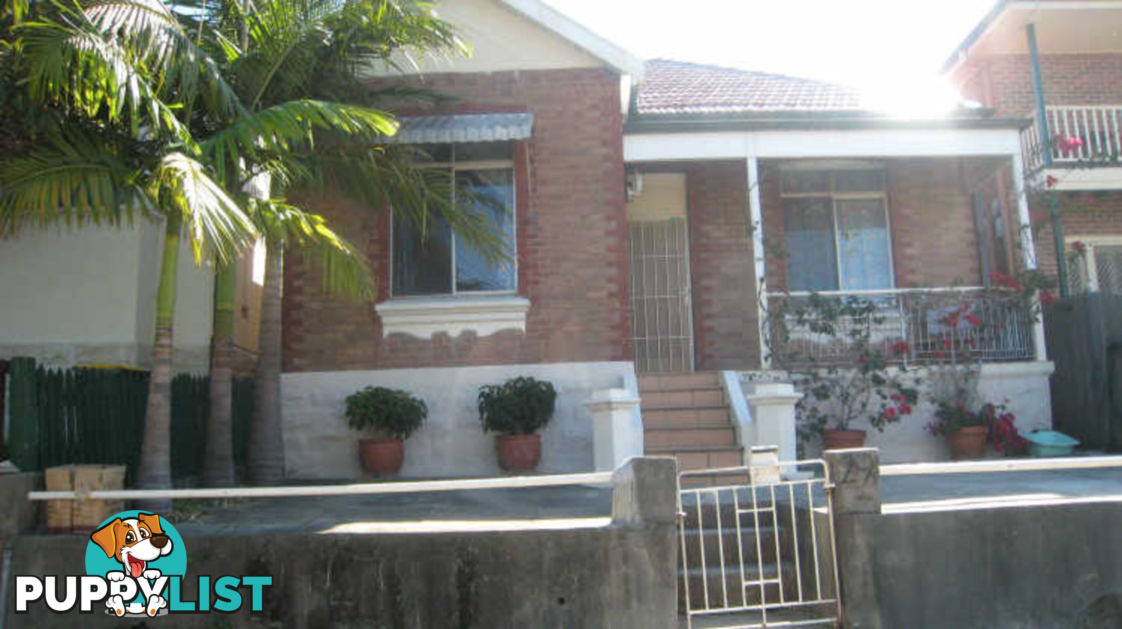 29 Bellevue Street ARNCLIFFE NSW 2205