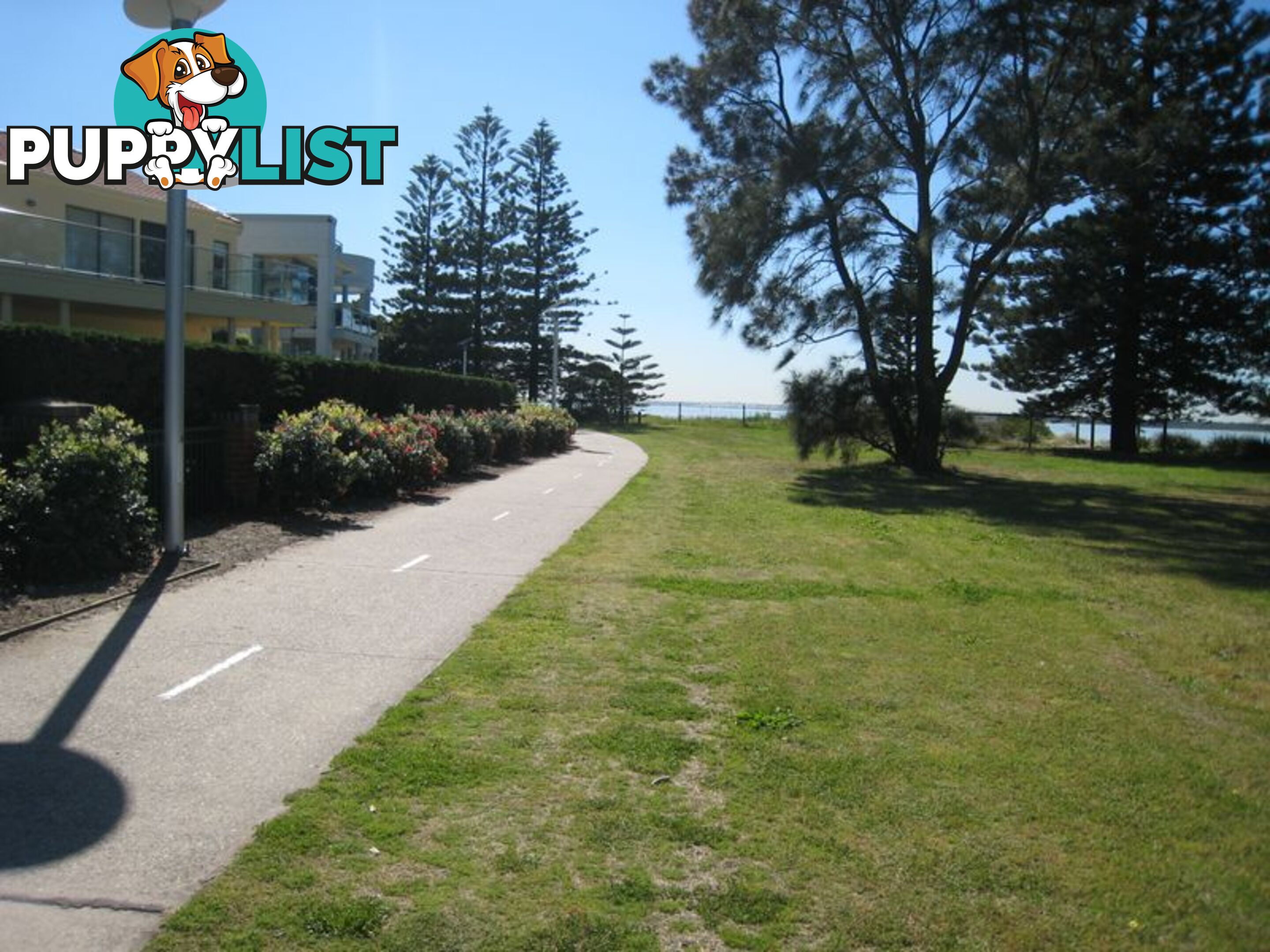 147-149 Clareville Avenue SANDRINGHAM NSW 2219