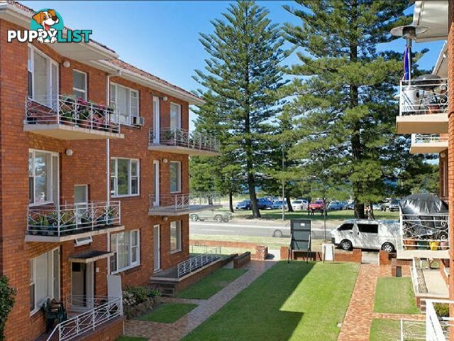 12/157 The Grand Parade MONTEREY NSW 2217