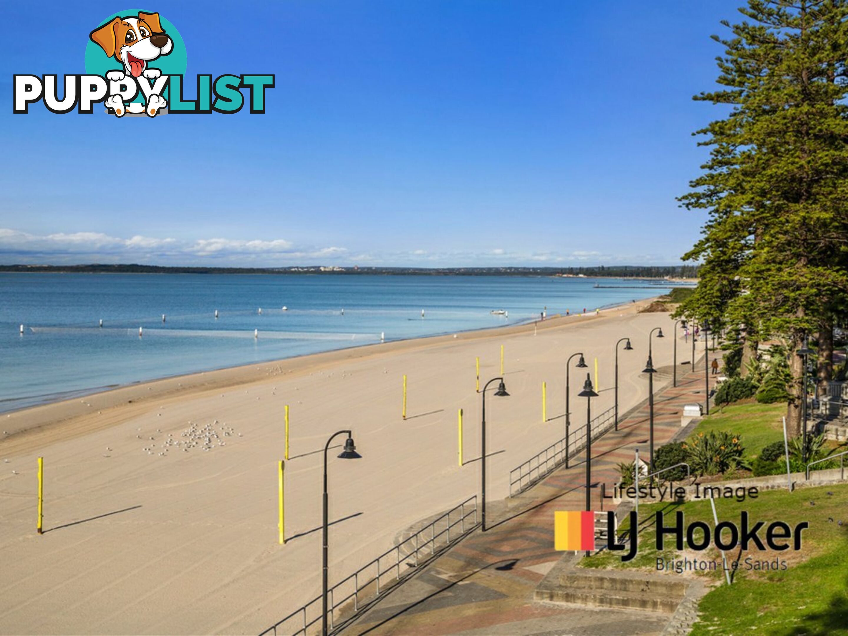 211/251-269 Bay Street BRIGHTON LE SANDS NSW 2216