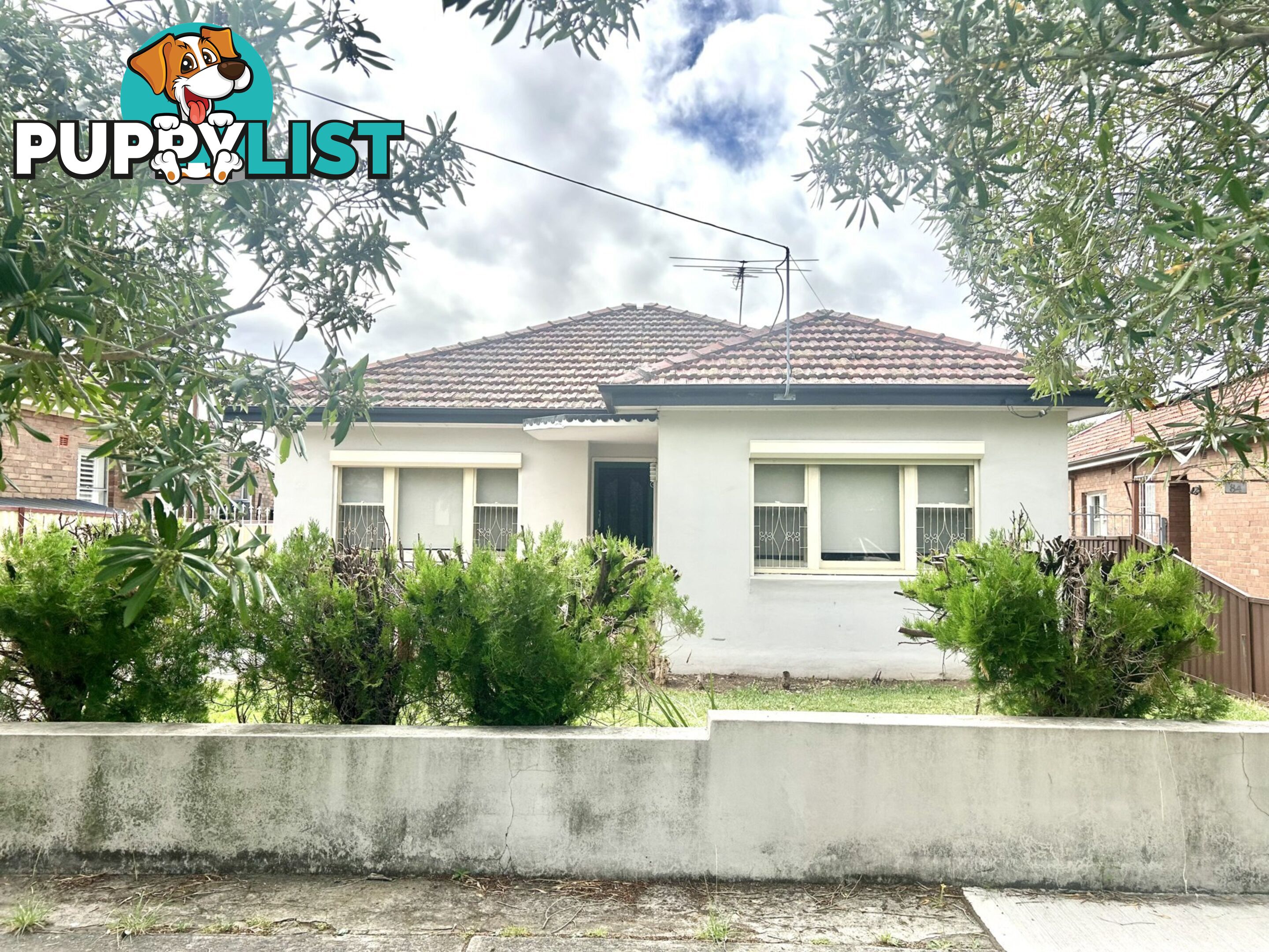 82 Paxton Avenue BELMORE NSW 2192