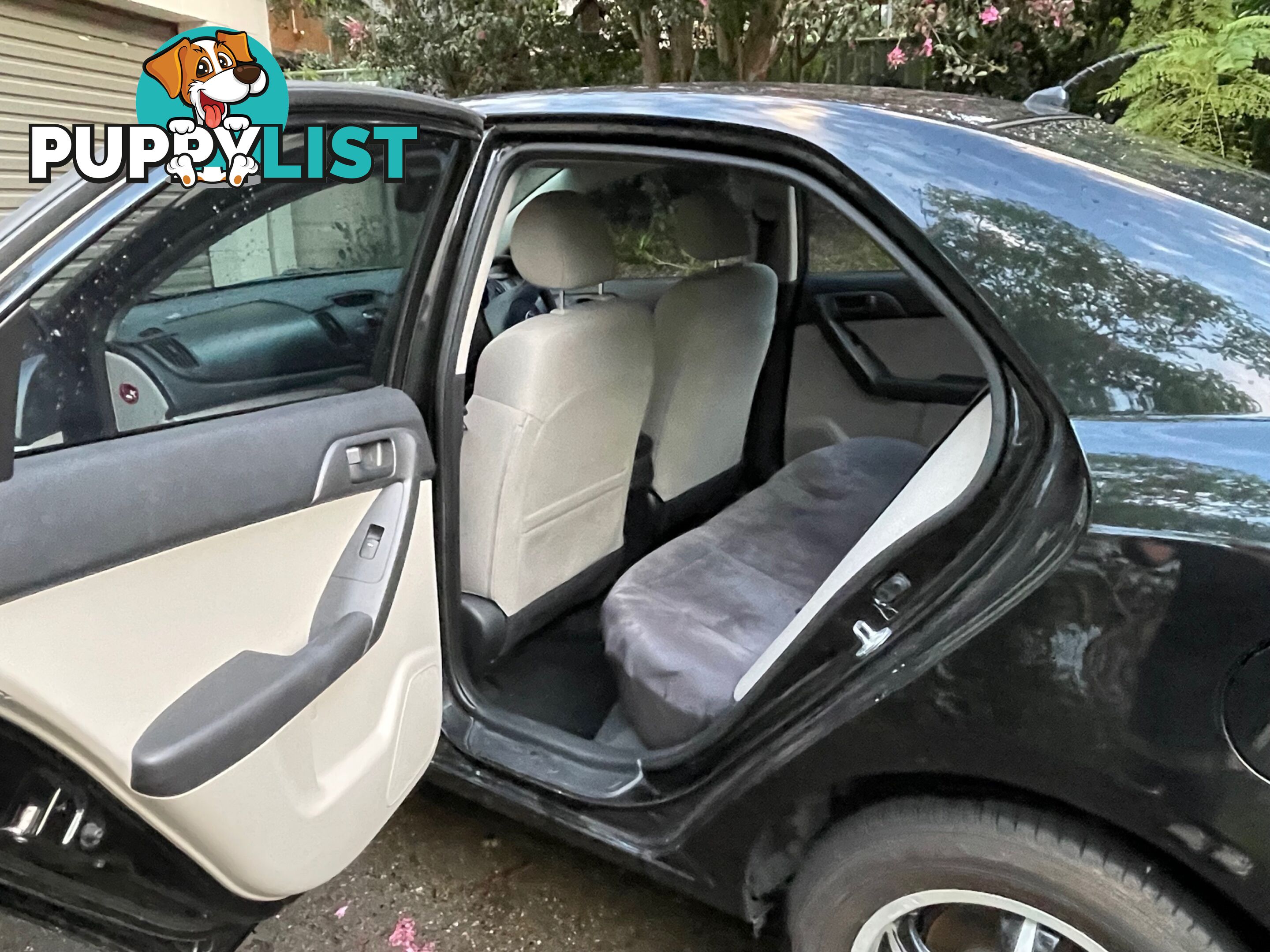 2009 Kia Cerato TD KIA Sedan Manual