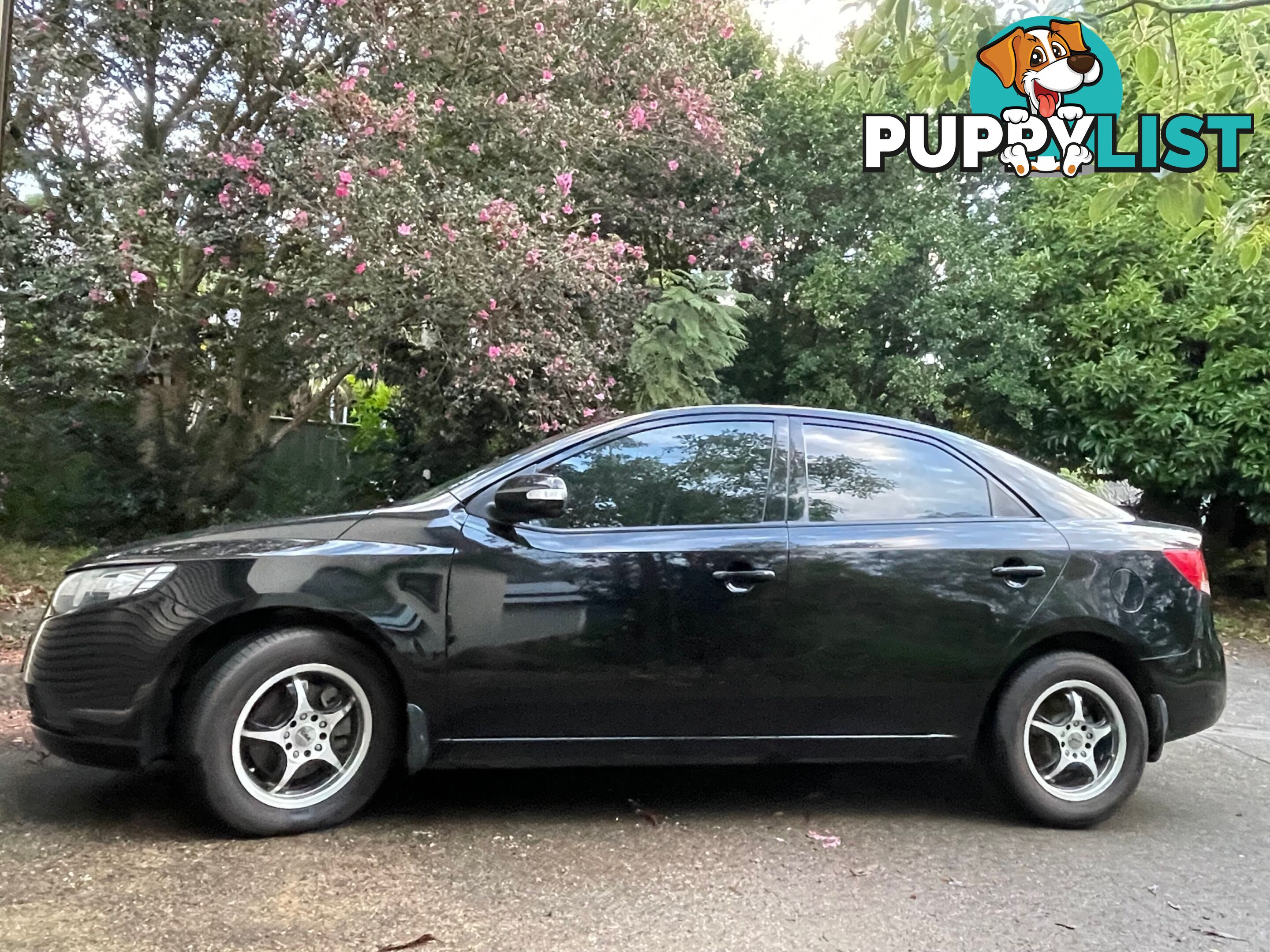 2009 Kia Cerato TD KIA Sedan Manual